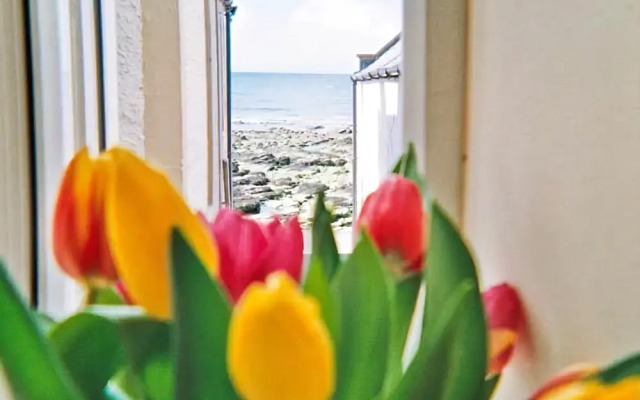 Ellie-ann Cottage