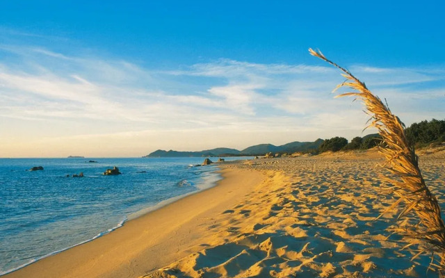 Apartment on Costa Rei Near Sandy Beaches