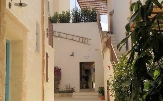 The Courtyard - Lilly