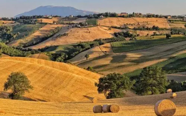 Agriturismo Rustico Del Conero