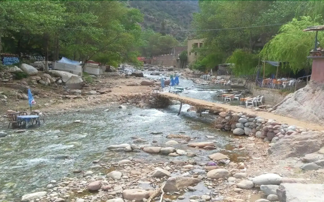 Riad Darhani