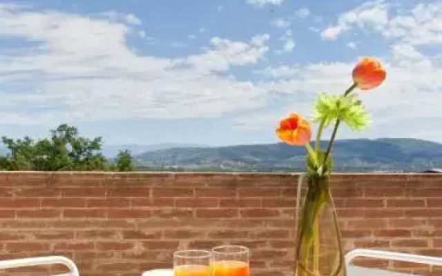 Agriturismo Il Vecchio Mandorlo
