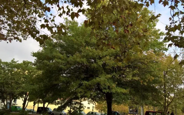 Appartement Matabiau