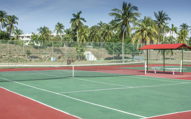 Sol Palmeras