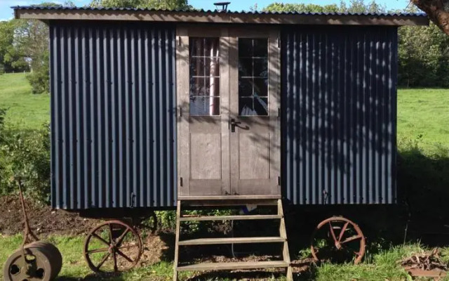 Shed and Breakfast