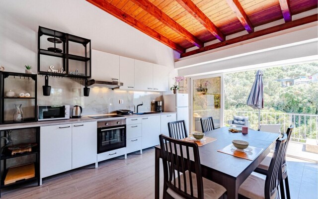 Nice Home in Vela Luka With Wifi