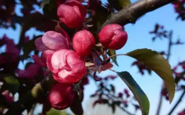 The Farm Snead Bed & Breakfast