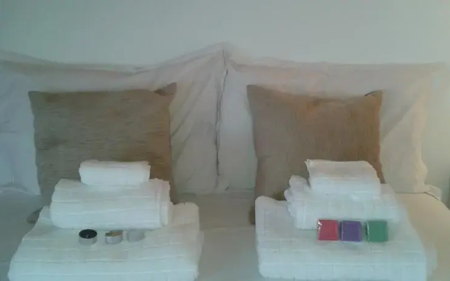 Vaulted Ceiling Apartment in Principe Real