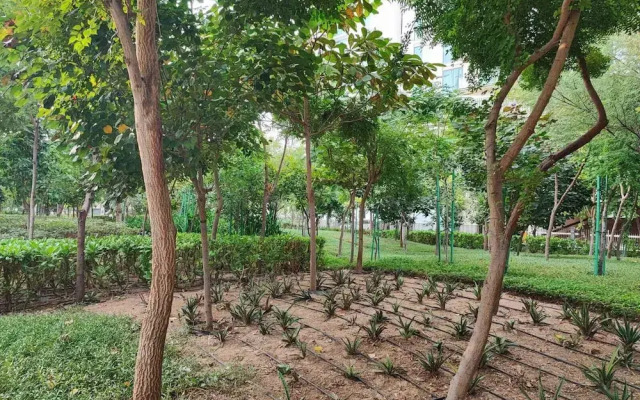 Sobha Creek Vista Tower B Apartments