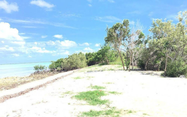 Mangrove Cay Sea View Villas