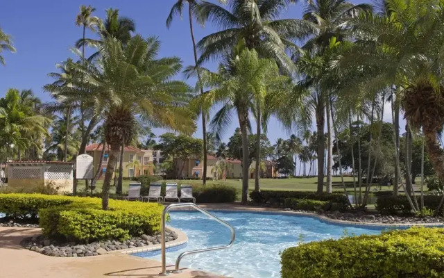 La Palmita