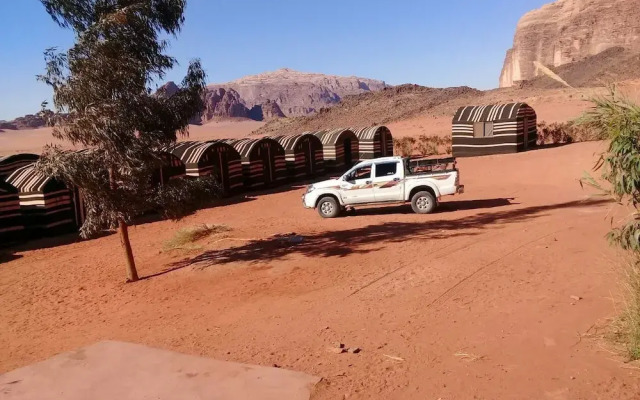 Wildlife Camp