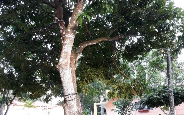 The Place to Enjoy Life!!!