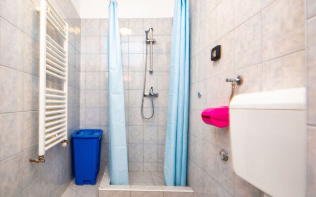 Vinka Laginji in Laginji