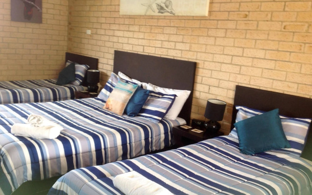 Avlon Gardens Motel - Ballina