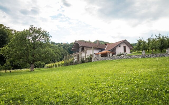 Vineyard cottage Radulja