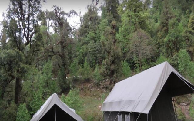 Camping At Natures Nest