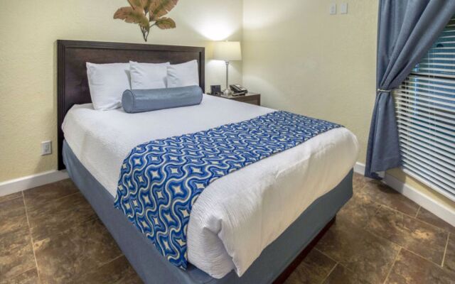 Tampa Waterfront 32242