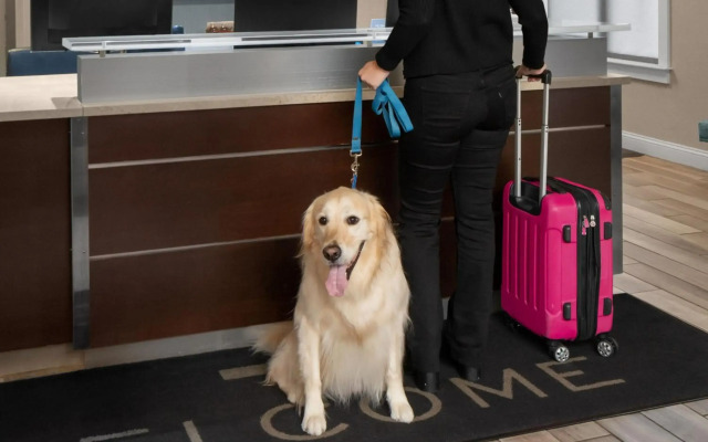 Residence Inn Boston Dedham