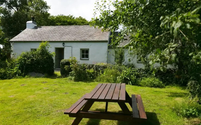 Tyn Llan