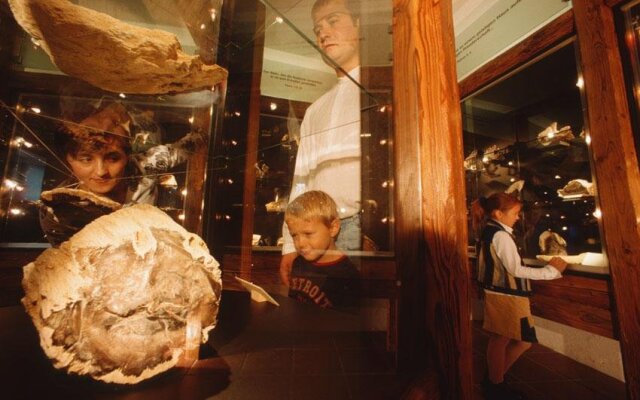 Gasthof Hotel Zum Weinberg