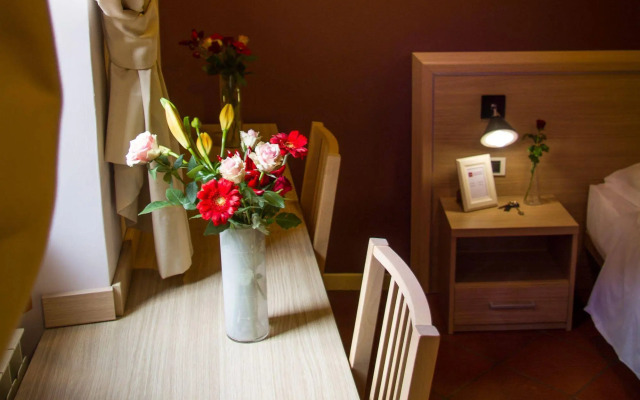 Magenta Collection Fico