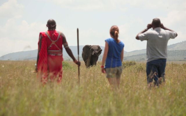 Sarova Mara Game Camp