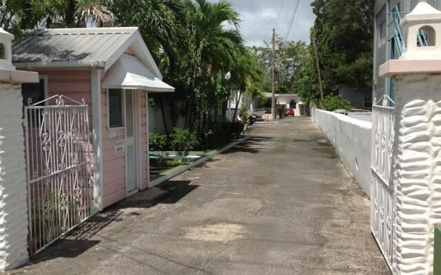 Anthurium Suites