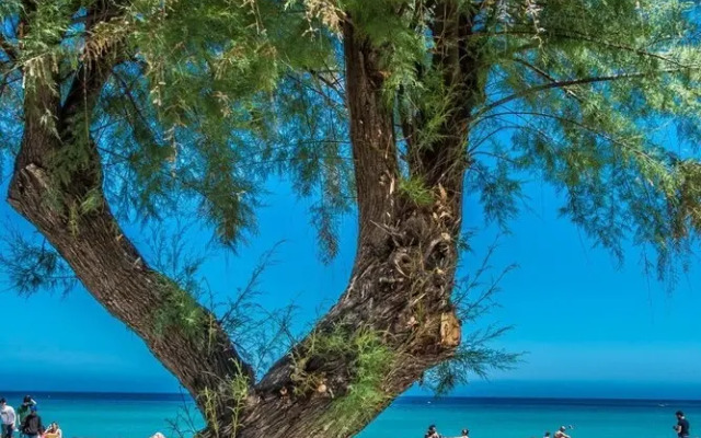 Casetta Vista Mare in Piazza a Mondello by Wonderful Italy