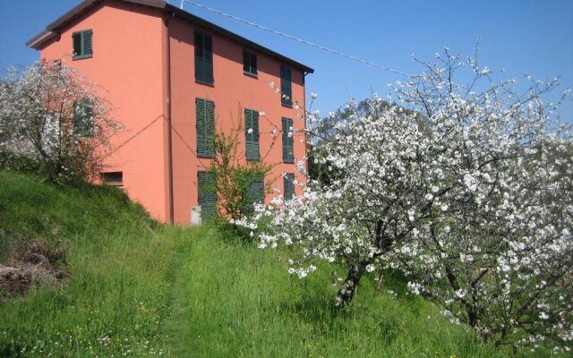 Agriturismo Casalino