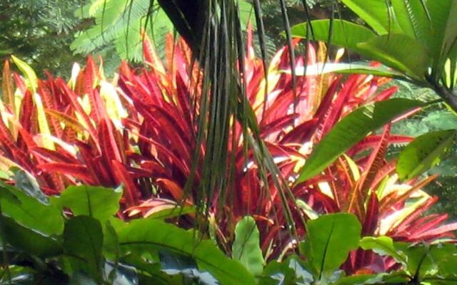 Coral Motel  Apartments Vanuatu