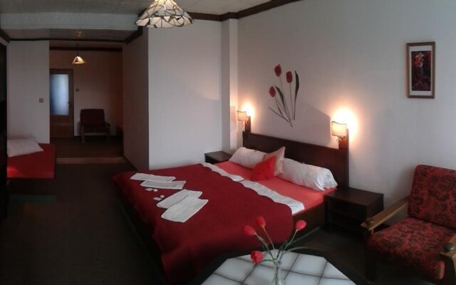 Hotel Pavla Vysocina