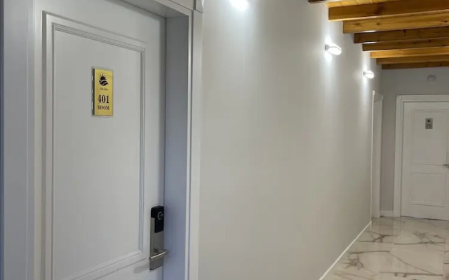 Arial Penthouse Suites