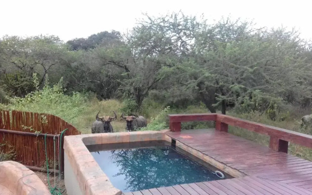 Marloth Kruger Whispering Ants