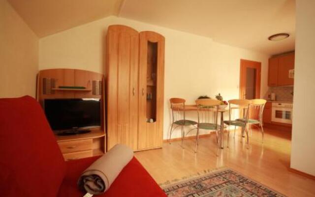 Ski In/Ski Out Appartements Tritscher