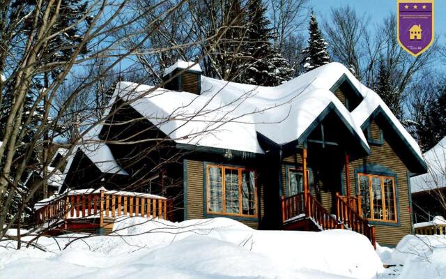 Chalet- 21 Chemin des Skieurs