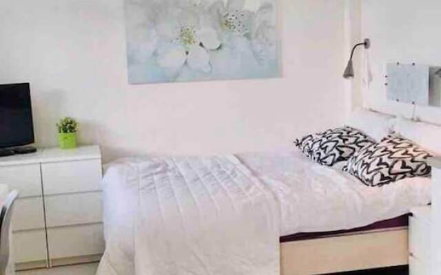 Lovely Apartment in Centre Prague 1