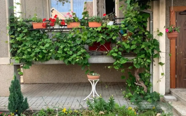 Regina Guest House