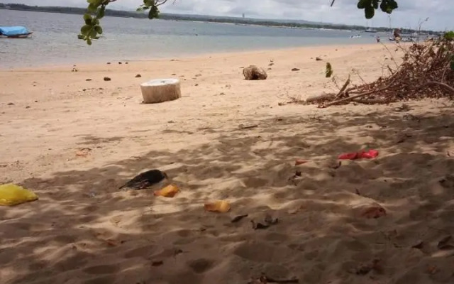 Shady Grove Healing Centre and Homestay