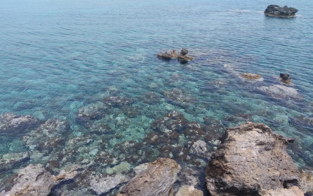 Protaras Blue Sea Apartment