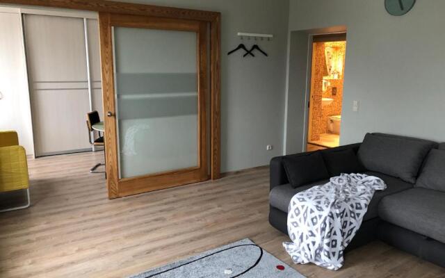 Family or Group Apartment in Green Center