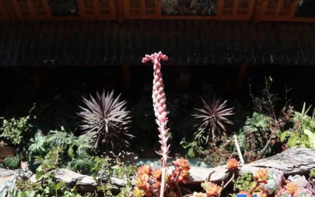 Frigga café snow mountain view Hotel