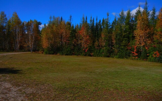 The Shores of Deer Lake