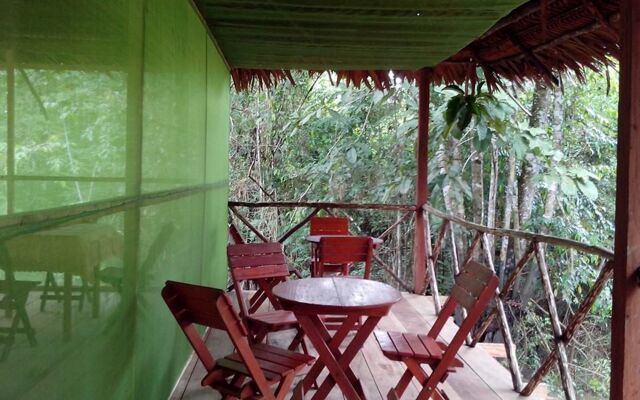 Amazon Eco Tours & Lodge
