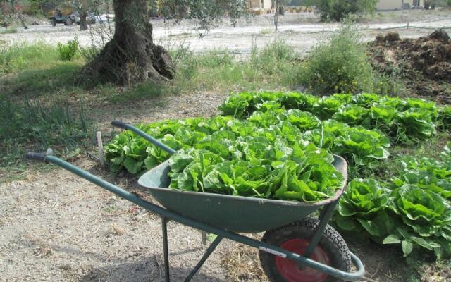 Agriturismo Donna Beatrice