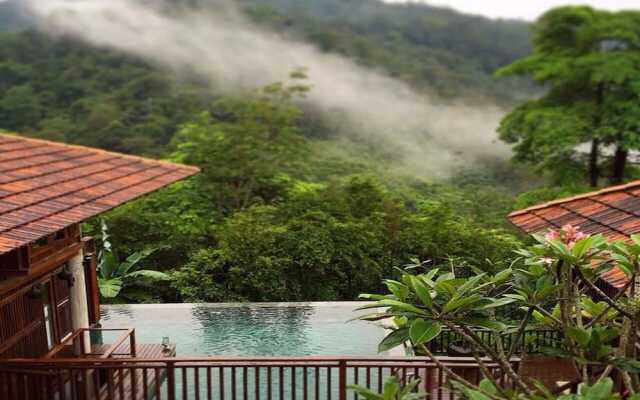 The Shorea