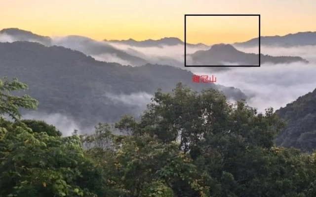 Taiwan Reishi Expert Bed and Breakfast