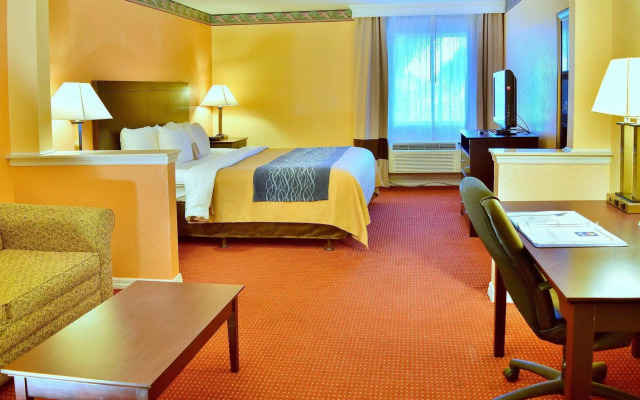 Comfort Inn & Suites DeLand - near University