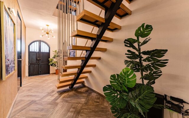 Casa Zamora Condesa by VH