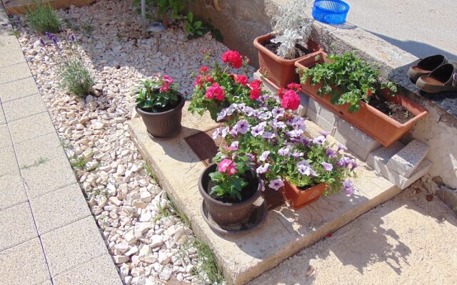 Comfortable apartment Mia